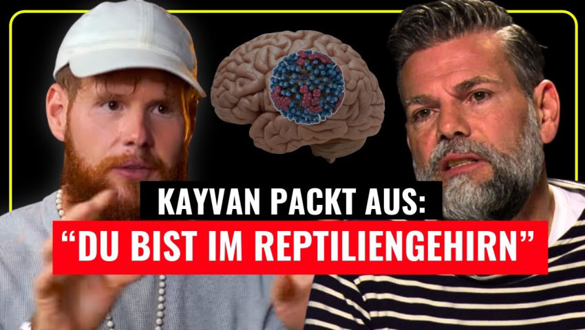 So kontrolliert die Elite dich...